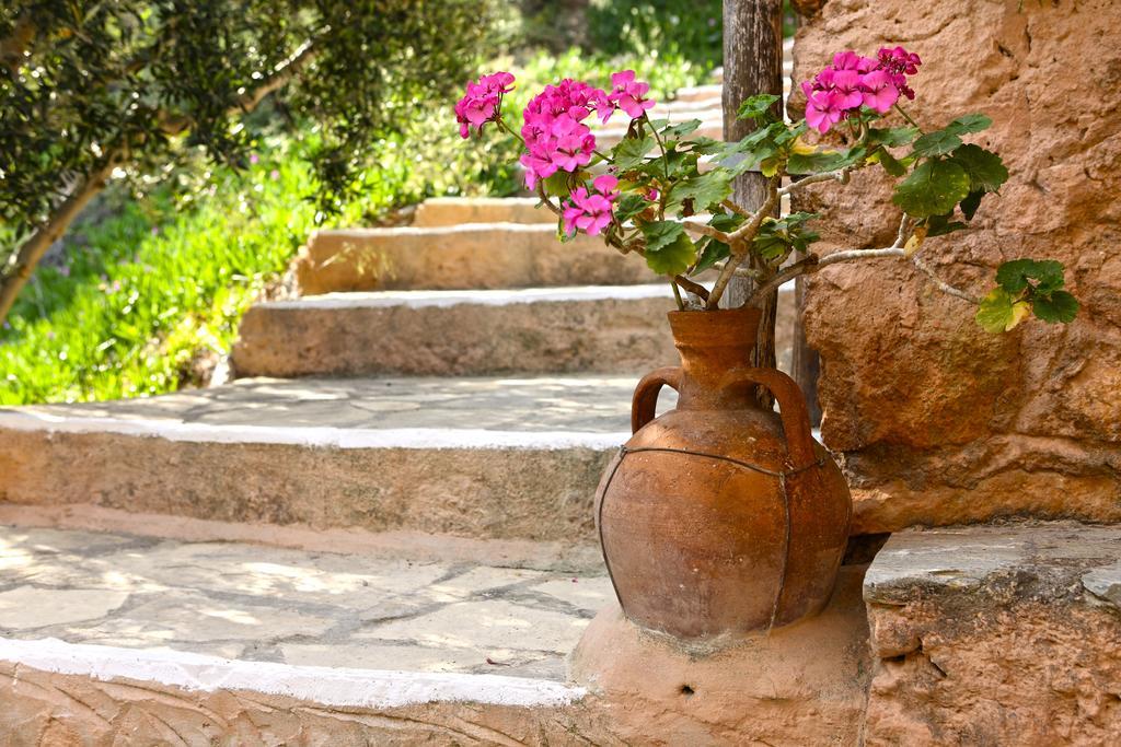 Aspros Potamos Aparthotel Makrýgialos Екстериор снимка