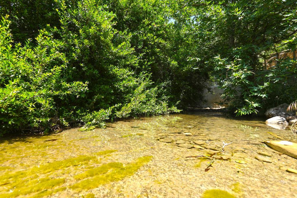 Aspros Potamos Aparthotel Makrýgialos Екстериор снимка