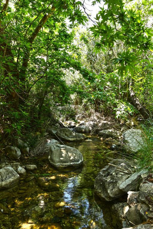 Aspros Potamos Aparthotel Makrýgialos Екстериор снимка